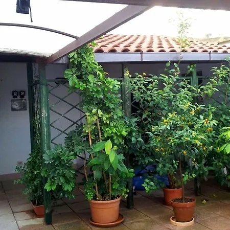Terrazza Orsini Apartment Putignano
